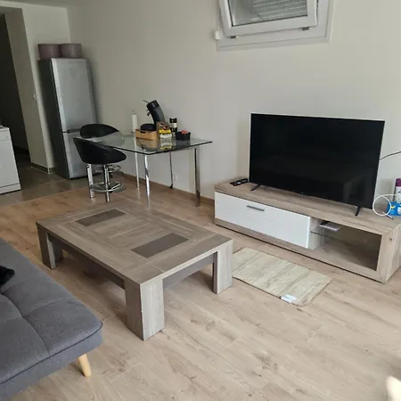 Stade Ol Et Grand Large Apartment *